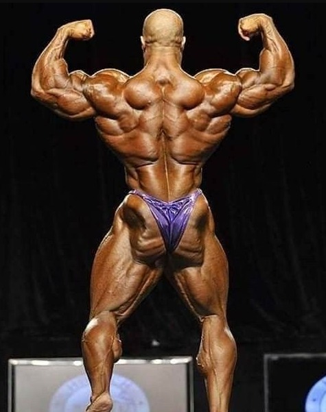 Top Bodybuilding Poses: Rear Double Biceps Pose